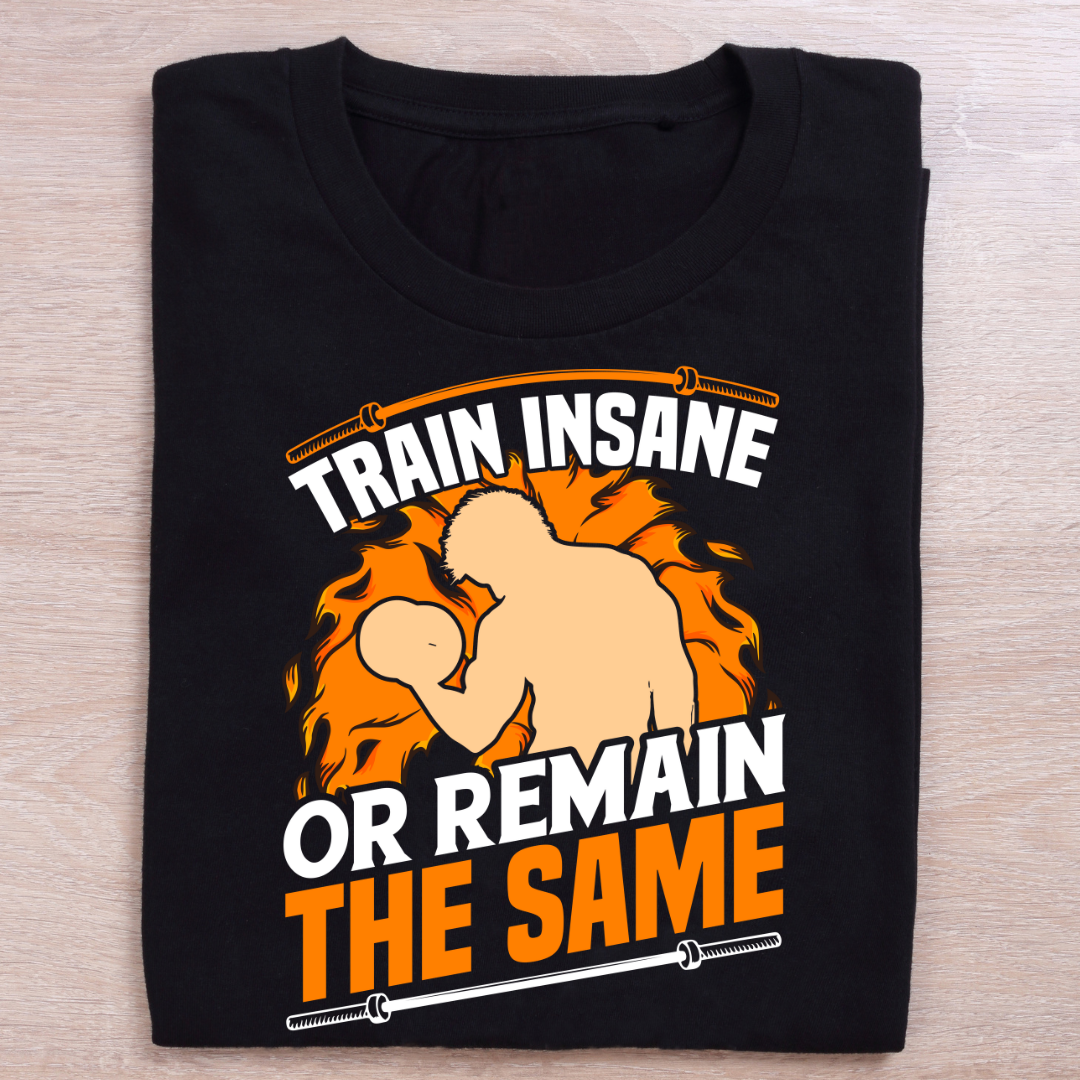 Train Insane Or Remain The Same T-Shirt