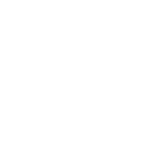 Vibe & Valor